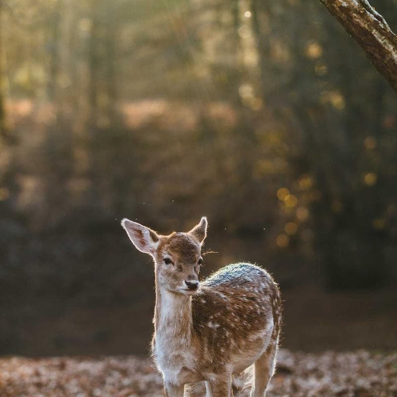 Block 15 by vaultspark