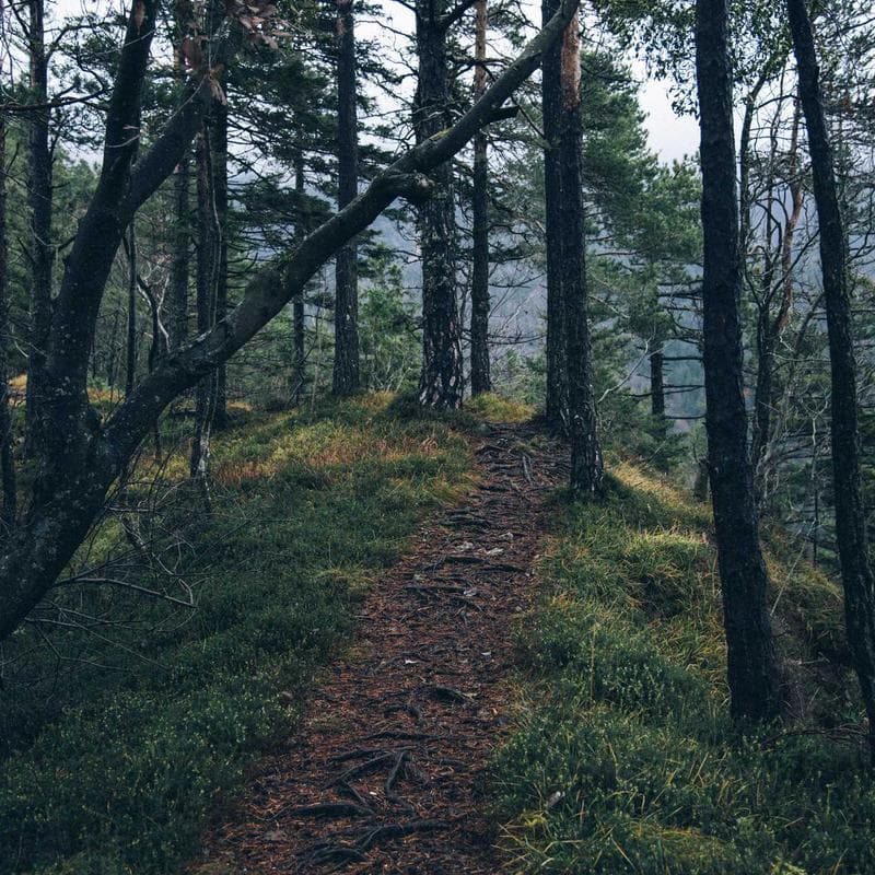 Block 17 by mintphase