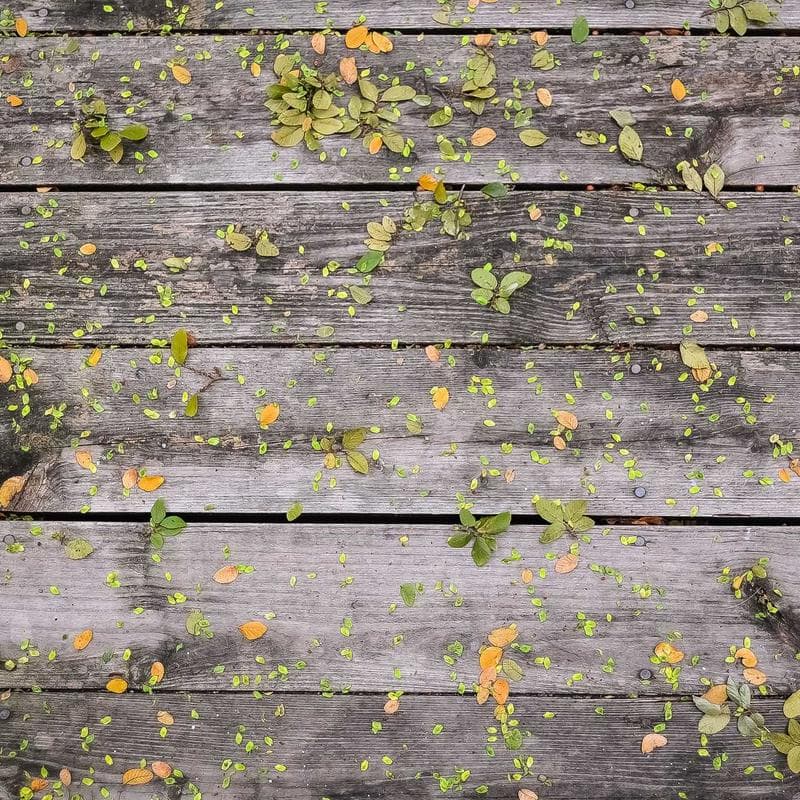 Block 20 by signalvoid