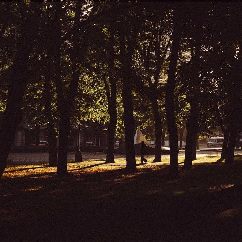 Block 25 by cryptoflare