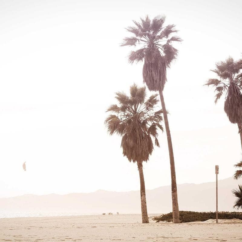 Block 45 by hexvenue