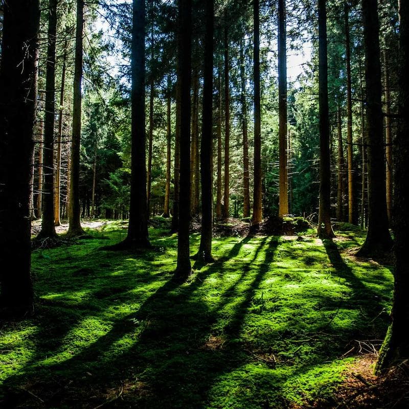 Block 46 by darkvector