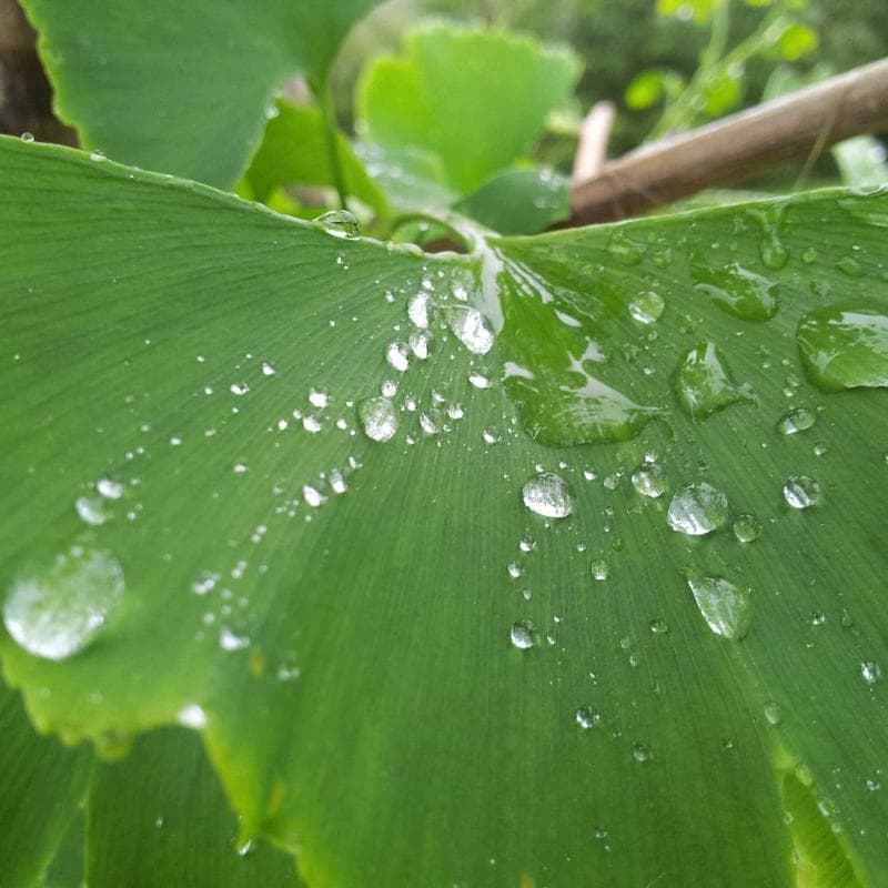 Block 47 by deeprelay