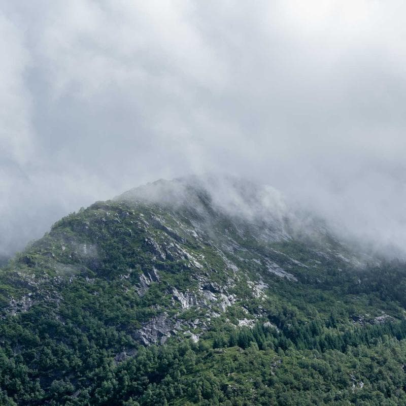 Block 51 by zeroflux